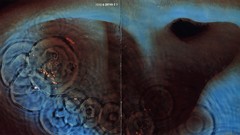 Pink floyd david gilmour