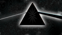 Pink floyd Music and