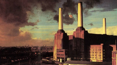 Pink floyd pigs