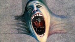 Pink floyd the wall