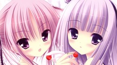 Pink hair crowns purple