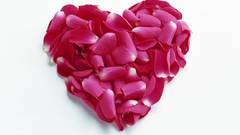 Pink Hearts flower petals