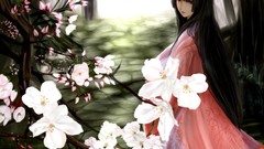 Pink kimono blossoms