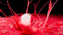 Pink liquid paint balls