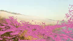 Pink mammoth album covers