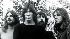 Pink monochrome grayscale floyd