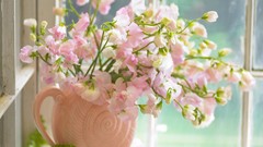 Pink spiral vase Flowers