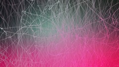 Pink white abstract lines