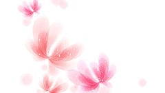 Pink white background