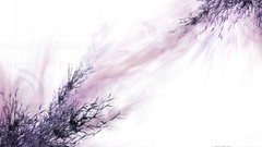 Pink white background artwork