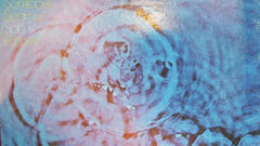 Pinkfloyd meddle high