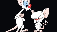 Pinky and the Brain