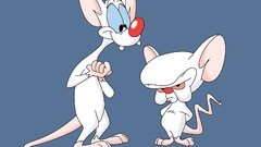 Pinky brain cartoon