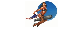 Pinups Flags Redneck bombs