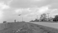 Piper cub taking off