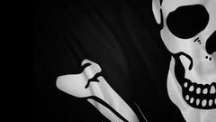 Pirates Flags Jolly Roger