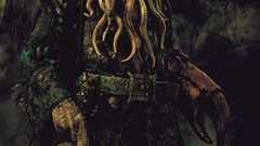 Pirates of the Caribbean