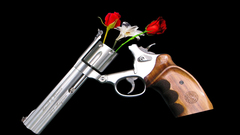 Pistols Guns Flowers roses