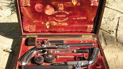 Pistols Guns weapons