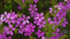 Plain Last Good moving think imgp