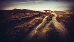 plains landscape House sky dirtroad outdoors