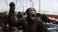 Planet of the Apes monkeys