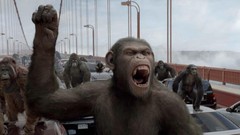Planet of the Apes Rise of the Planet of the Apes