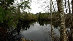 Planet scenes nature Lake