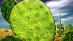 Plants cactus paintings multicolor