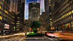 Plants cars buildings streets cityscapes long exposure