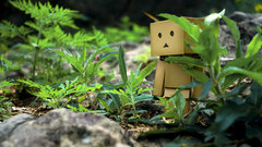 Plants danboard