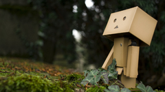 Plants danboard depth of