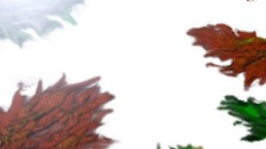 Plants Far Cry xbox 360 far cry 3 video games Jason Brody Vaas 