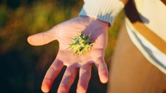 Plants hands body parts