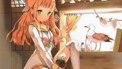 Plants hats pot seagulls long hair anime girls green eyes 