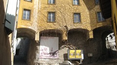 Plants Museum buildings streets