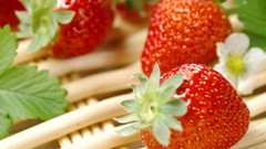 Plants nature fruits