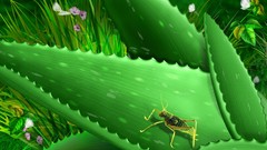 Plants paintings multicolor