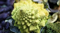 Plants Romanesco Broccoli