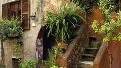 Plants Rome Italy houses stairways