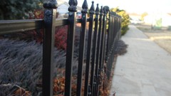 Plants sidewalk fences