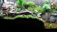 Plants The Shire Bag End