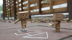Playing danboard