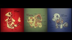 Pokémon charmander bulbasaur squirtle anatomy Anime collage