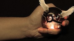 Pokemon Amaterasu video games Poke Balls