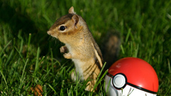 Pokemon Animals Poke Balls