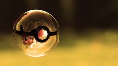 Pokemon artwork eevee Poke Balls