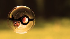 Pokemon artwork eevee Poke Balls