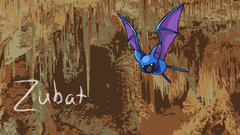 Pokemon bats Zubat