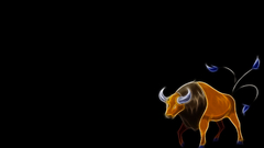 Pokemon black background